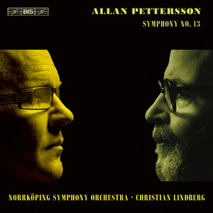 Symphony no. 13 cover