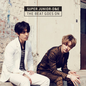 SUPER JUNIOR-D&E Photo