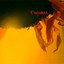 Solstício Albumcover
