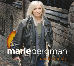 Det Liv Du Får cover
