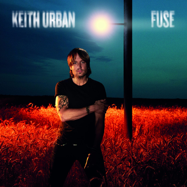 Fuse cover