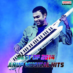 Best of 2014: Anup Musical Hits album
