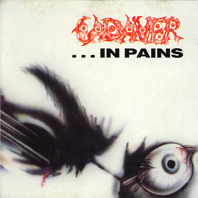 In Pains cover