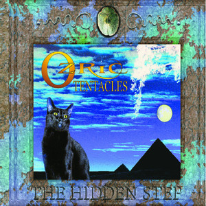 The Hidden Step cover
