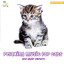 Relaxing Music for Cats - and Their Owners Albumcover