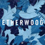 Blue Leaves cover