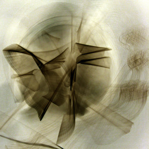 Amplified Presence Albumcover