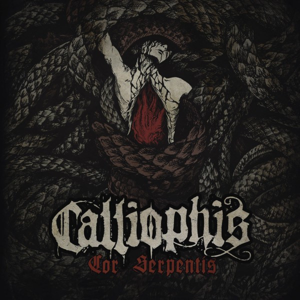Calliophis Photo
