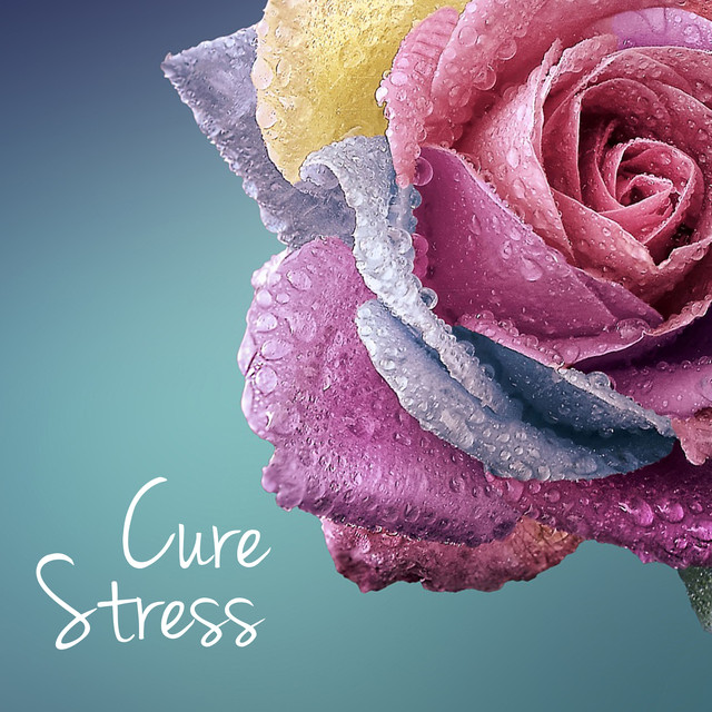 Cure Stress - Therapeutic Music for Sleep Disorders & Sleepless Nights Albumcover