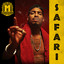 Safari cover