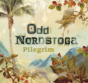 Pilegrim album