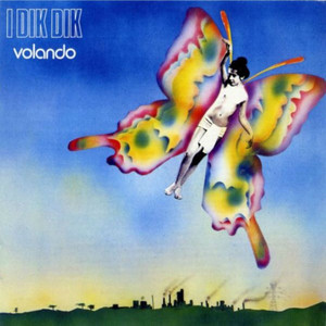 Volando cover