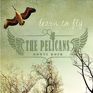 Pelicans poster