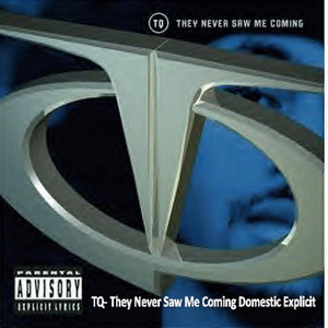 Tq They Never Saw Me Coming Domestic Explicit cover