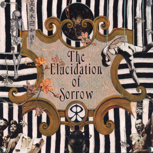 The Riddle cover