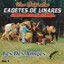 Los dos amigos cover