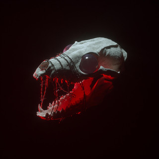 Pestis Photo