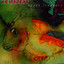 Bunte Scherben cover