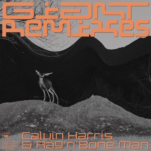 Calvin Harris Rag N Bone Man Giant Robin Schulz Remix