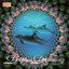 Dolphin Dreaming Albumcover