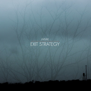 Exit Strategy cover