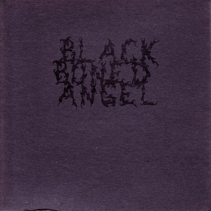Bliss and Void Inseparable cover