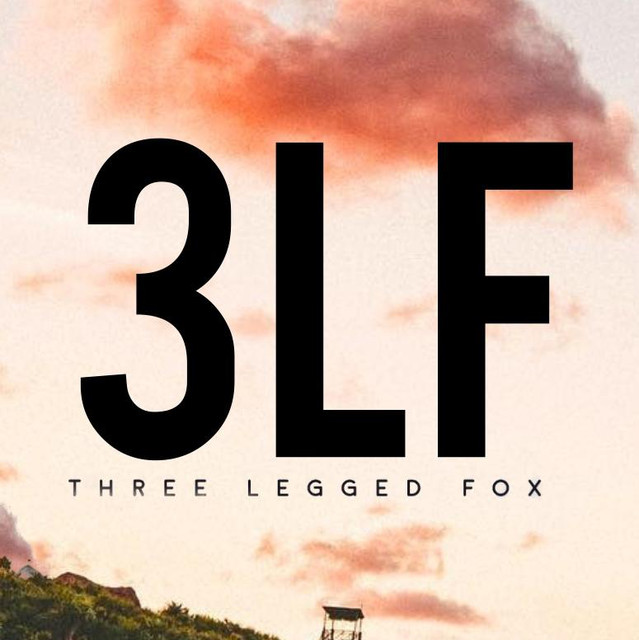 Three Legged Fox photo