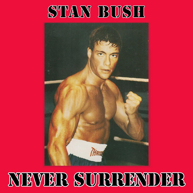 Never Surrender (from Kickboxer) cover