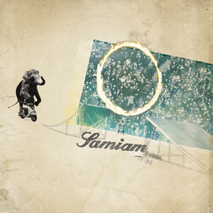 Trips cover