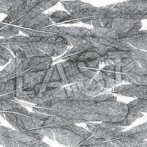 Last cover