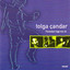 Türküleri Ege'nin III Albumcover