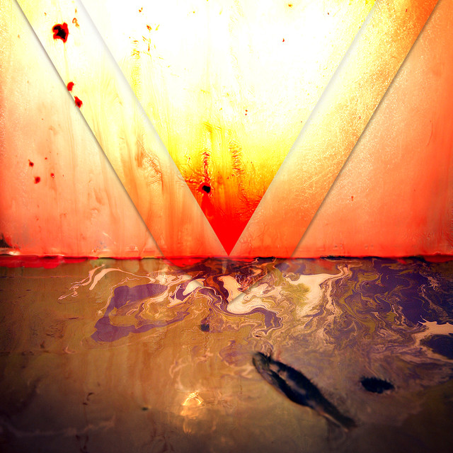 Tiger Talk cover
