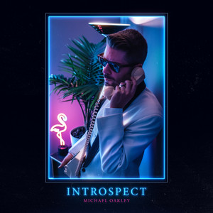 Introspect cover