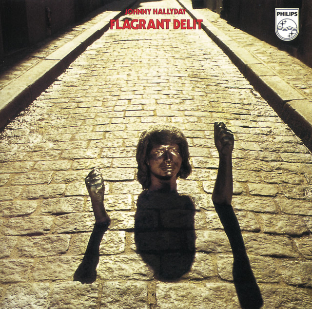 Flagrant Delit cover