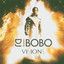 Visions cover