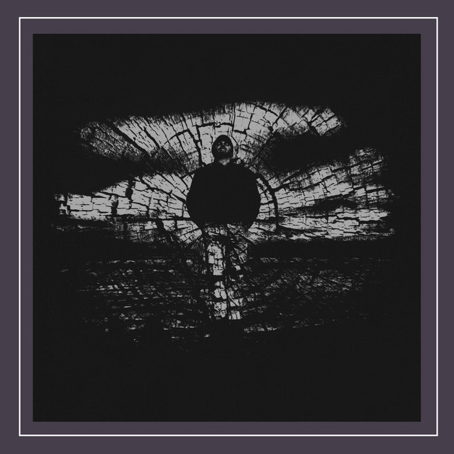 None The Wiser cover