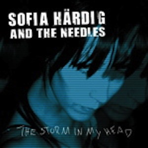 The Storm In My Head Albumcover