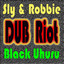 Dub Riot (Live) cover