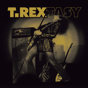 T Rextasy album