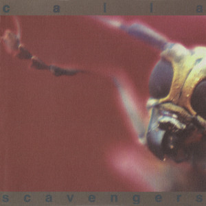 Fear of Fireflies cover