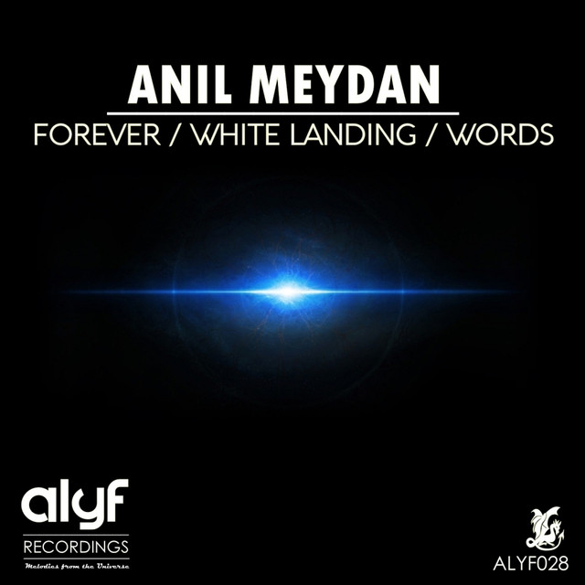 Anil Meydan Photo