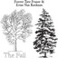 The Fall Albumcover