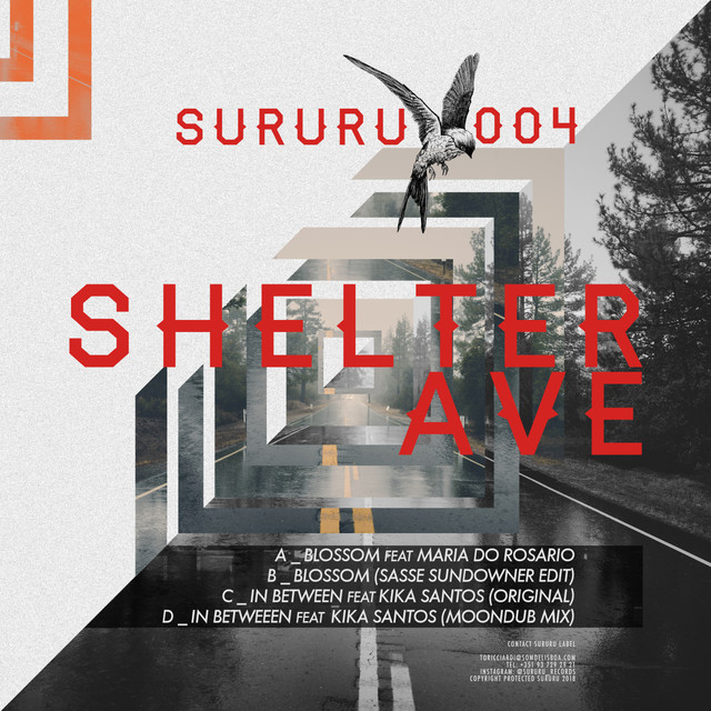 Shelter Av. Photo