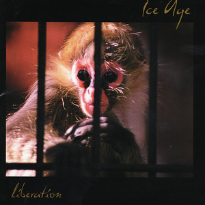 Liberation cover
