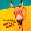 Miracle Mule cover
