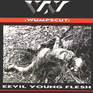 Eevil Young Flesh album