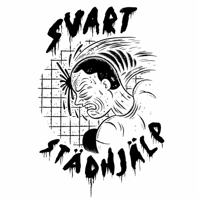 Svart städhjälp Photo