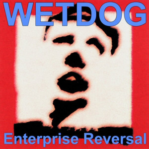 Enterprise Reversal cover