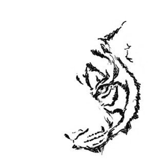 The Tiger & Me Photo