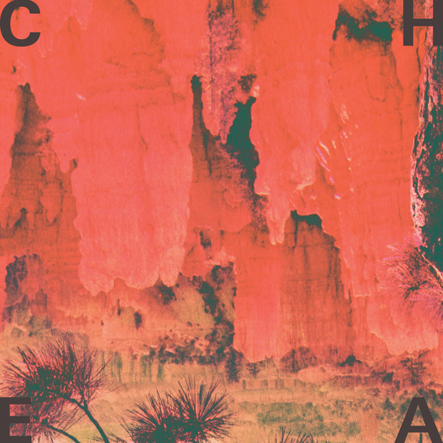 Cheatahs cover